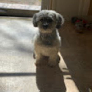 Meet your Posher, Vera